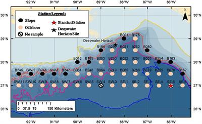 The Vertical and Horizontal Distribution of Deep-Sea Crustaceans in the Order Euphausiacea in the Vicinity of the DeepWater Horizon Oil Spill